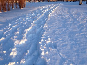 IMG_3283