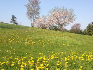 IMG_3794