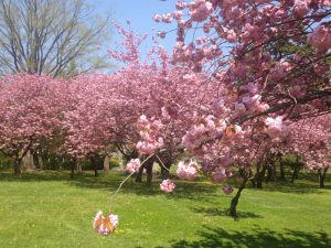 IMG_3853