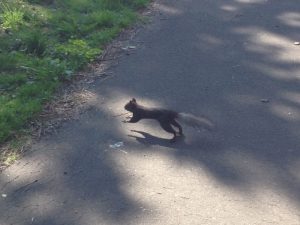IMG_4052